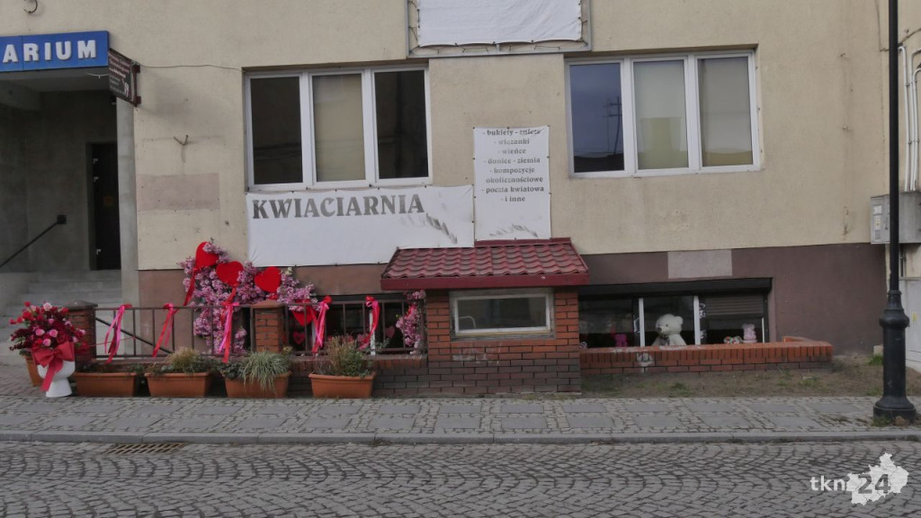 Walentynki z Frezją. Bogata oferta koneckiej kwiaciarni [zdjęcia]