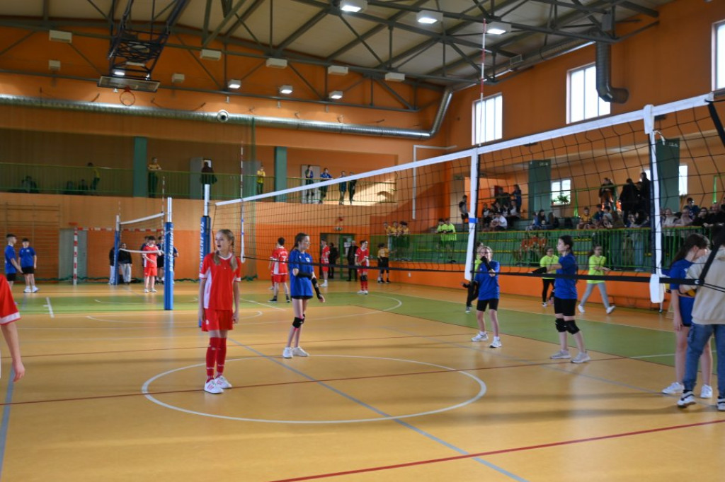 VI Międzyszkolny Festiwal Piłki Siatkowej w Radoszycach [zdjęcia]