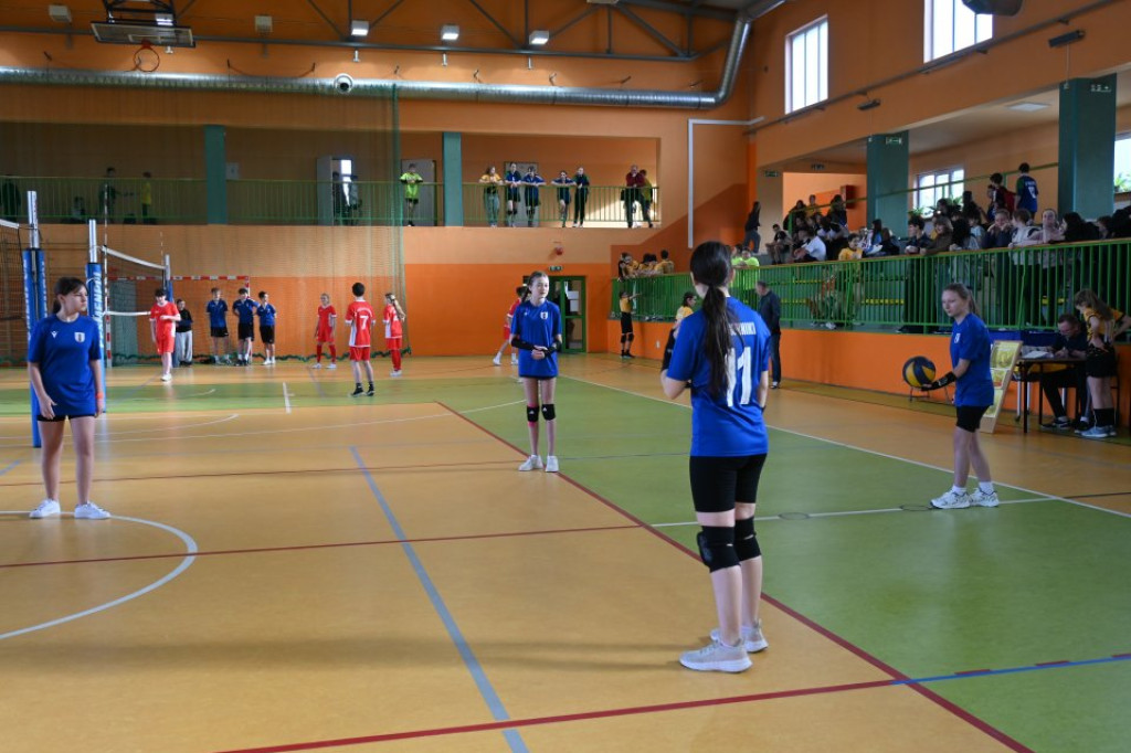 VI Międzyszkolny Festiwal Piłki Siatkowej w Radoszycach [zdjęcia]