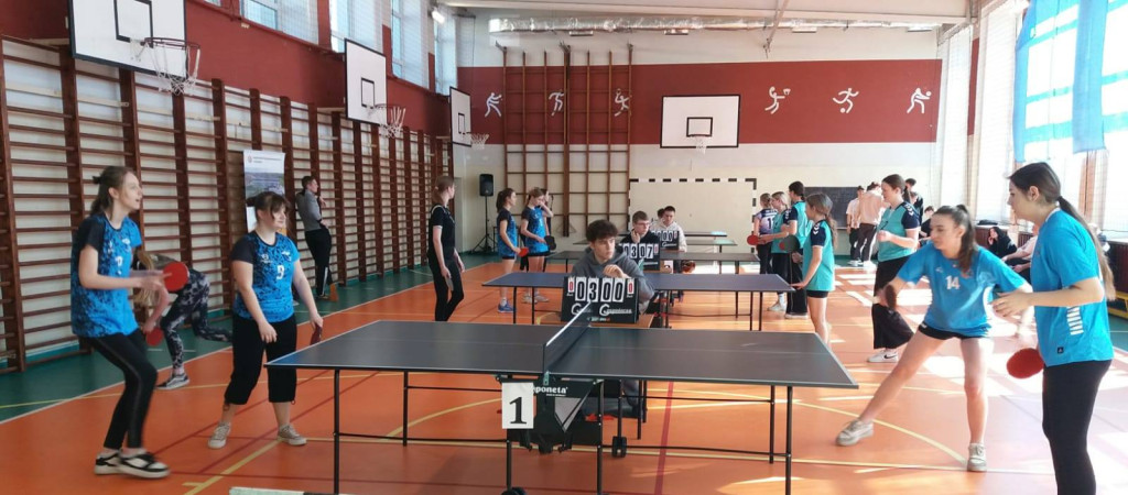XXII Turniej Tenisa Stołowego o Puchar Starosty Koneckiego [zdjęcia]