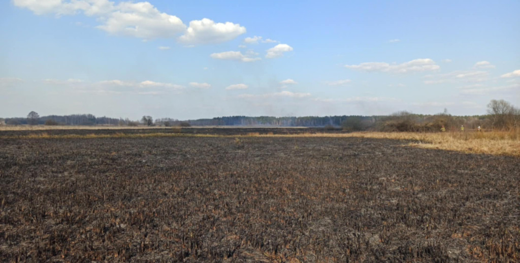 Pożar w gminie Słupia Konecka. Paliło się około 9 hektarów terenu [zdjęcia]