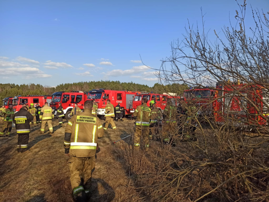 Pożar w gminie Słupia Konecka. Paliło się około 9 hektarów terenu [zdjęcia]