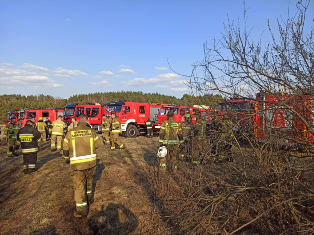 Pożar w gminie Słupia Konecka. Paliło się około 9 hektarów terenu [zdjęcia]