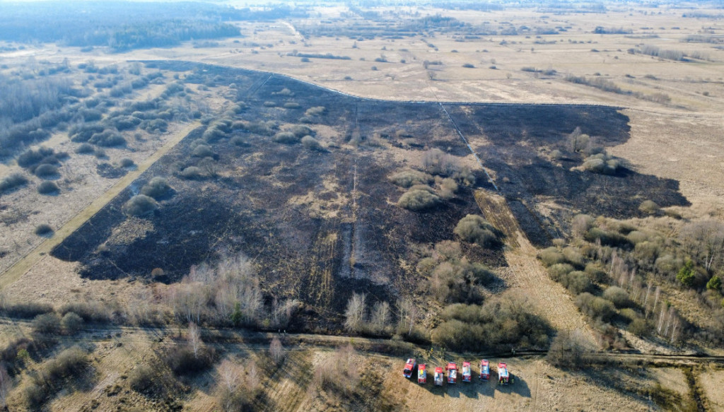 Pożar w gminie Słupia Konecka. Paliło się około 9 hektarów terenu [zdjęcia]