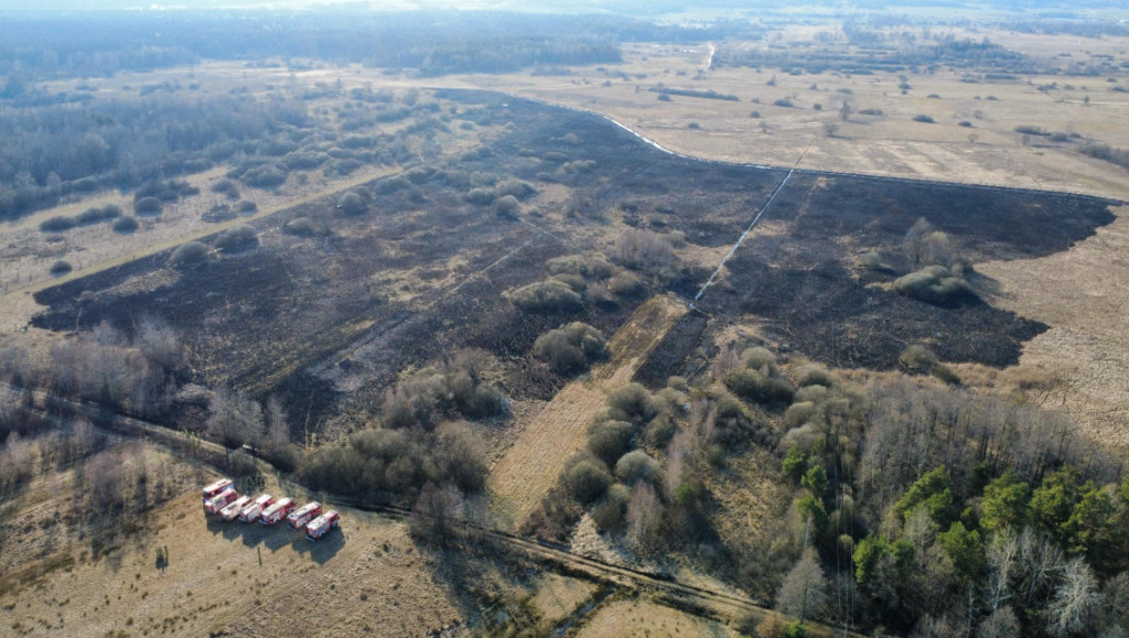 Pożar w gminie Słupia Konecka. Paliło się około 9 hektarów terenu [zdjęcia]