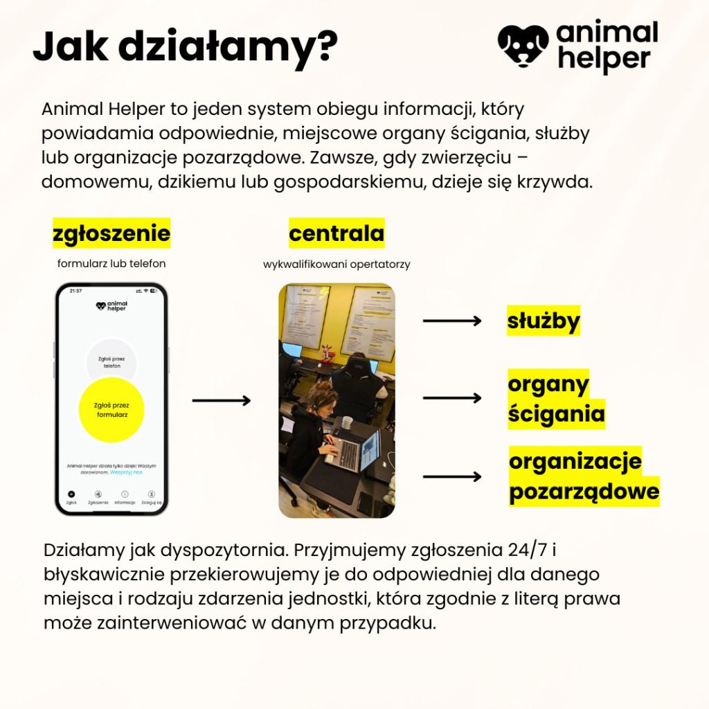 Aplikacja Animal Helper, czyli 112 dla zwierząt działa już w naszym województwie