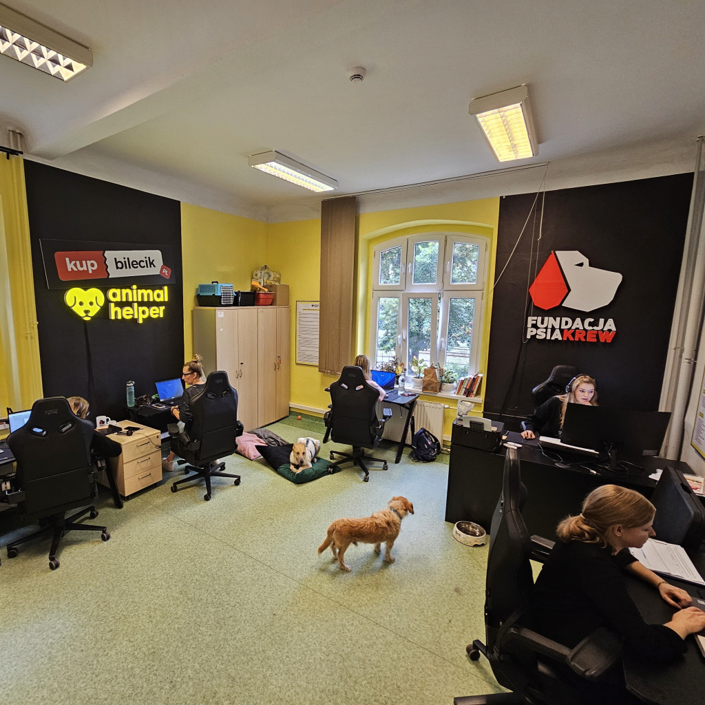 Aplikacja Animal Helper, czyli 112 dla zwierząt działa już w naszym województwie