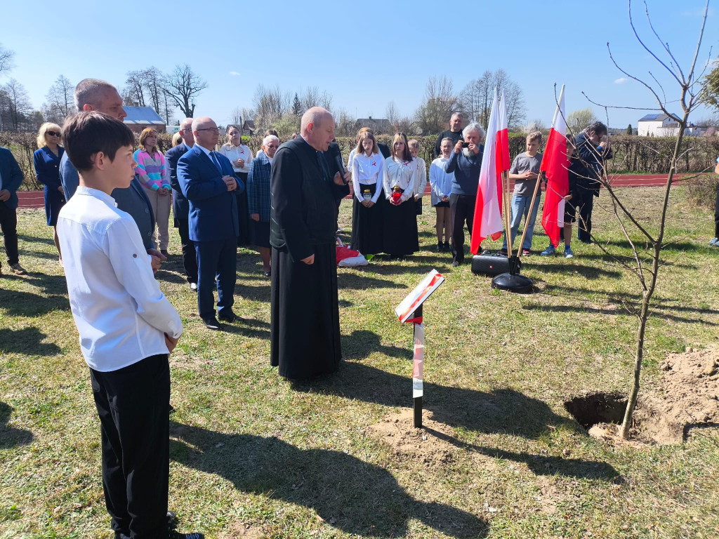 Dąb ku pamięci majora Stanisława Malickiego [wideo, zdjęcia]