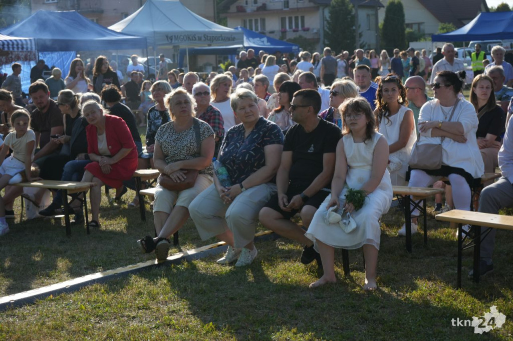 Obchody Nocy Świętojańskiej wraz z turniejem sołtysów w Krasnej [wideo, zdjęcia]