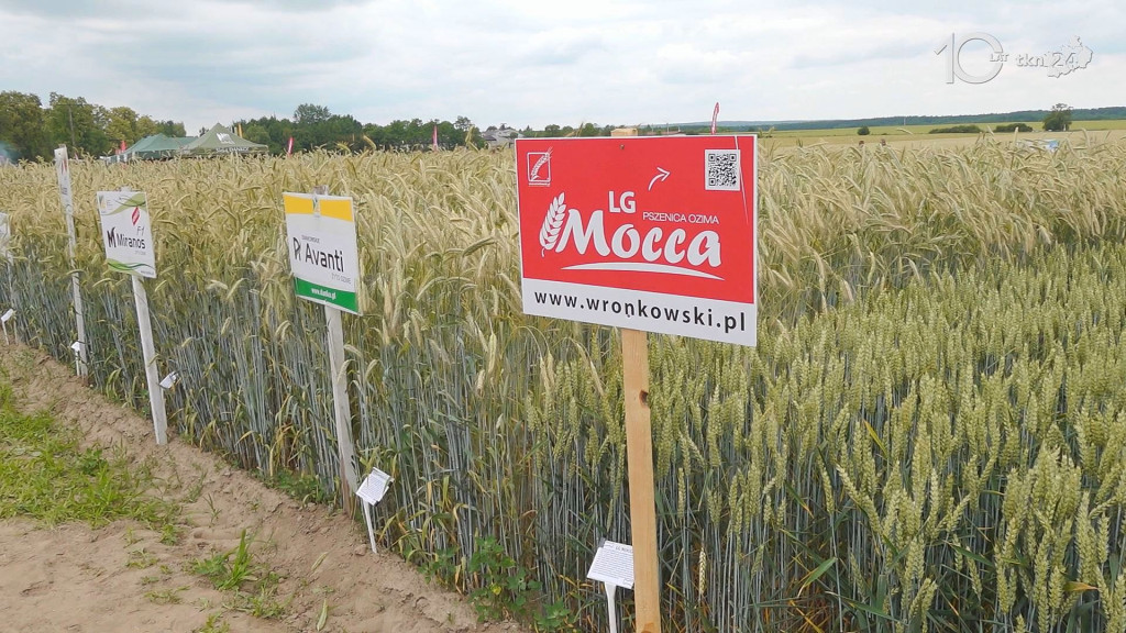 Tłumnie na Dniu Otwartym ŚODR. Był też minister [wideo, zdjęcia]