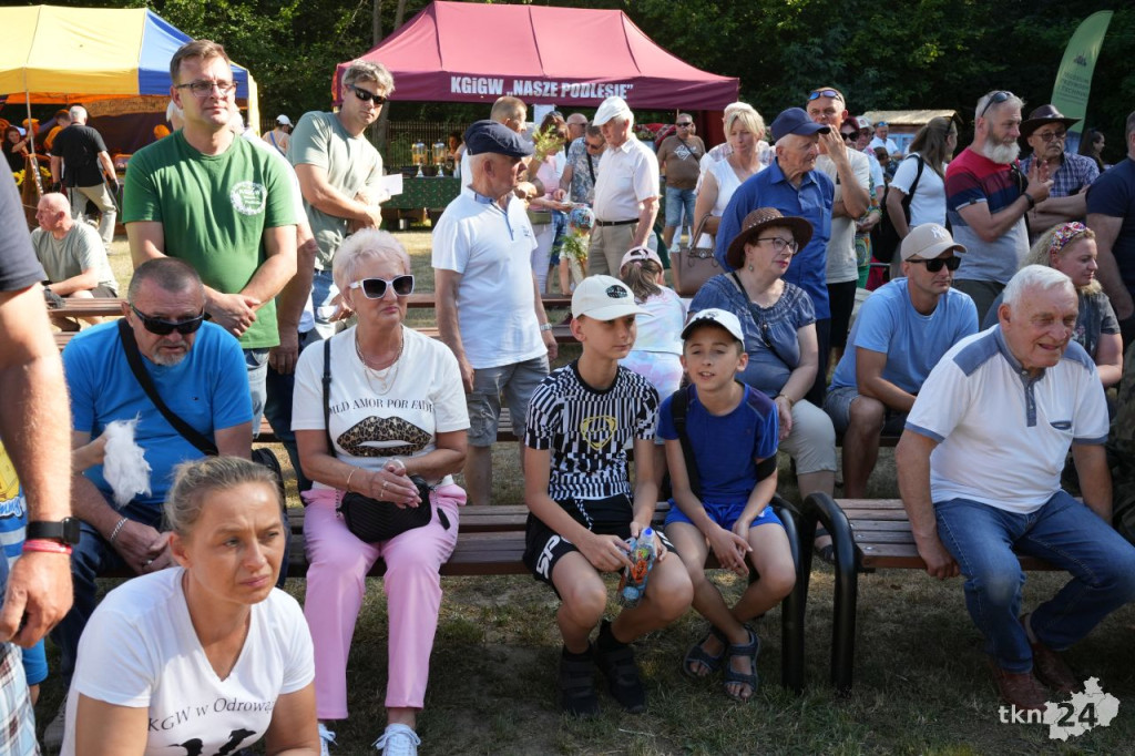 26. Kuźnice Koneckie ściągnęły tłumy do Zabytkowego Zakładu Hutniczego w Maleńcu [fotogaleria]