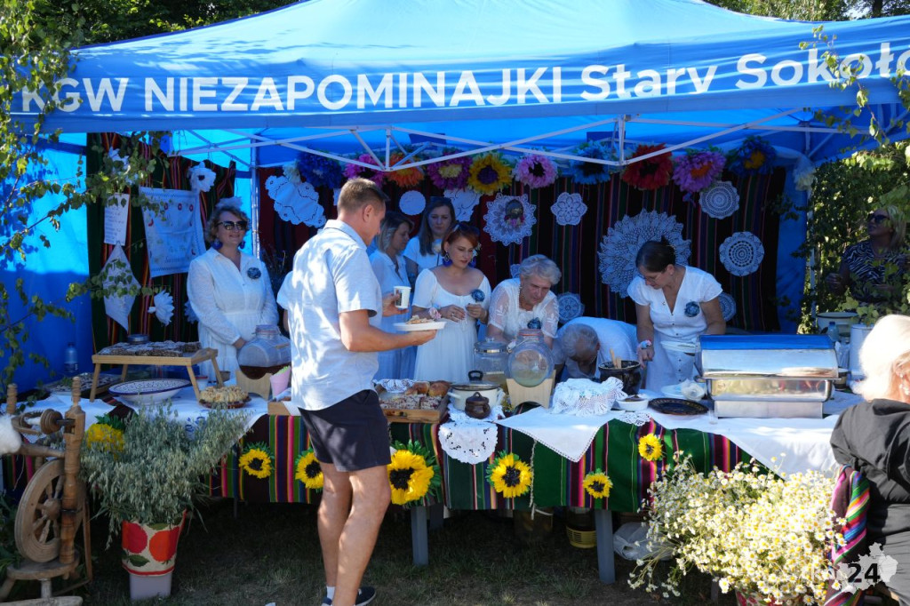 26. Kuźnice Koneckie ściągnęły tłumy do Zabytkowego Zakładu Hutniczego w Maleńcu [fotogaleria]