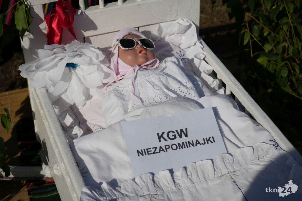 26. Kuźnice Koneckie ściągnęły tłumy do Zabytkowego Zakładu Hutniczego w Maleńcu [fotogaleria]