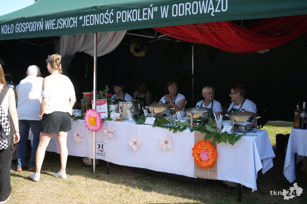 26. Kuźnice Koneckie ściągnęły tłumy do Zabytkowego Zakładu Hutniczego w Maleńcu [fotogaleria]
