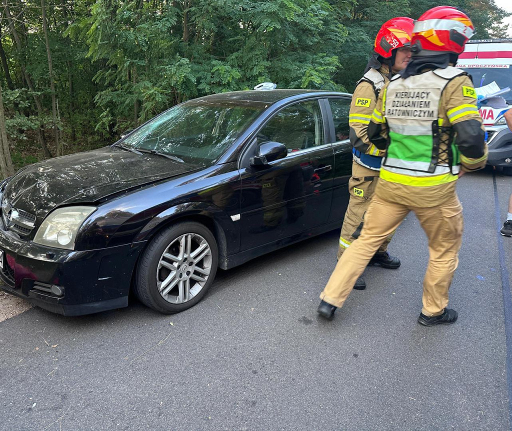 Pijany kierowca wjechał w grupę pielgrzymów. Wśród poszkodowanych 2,5-letnie dziecko [zdjęcia]