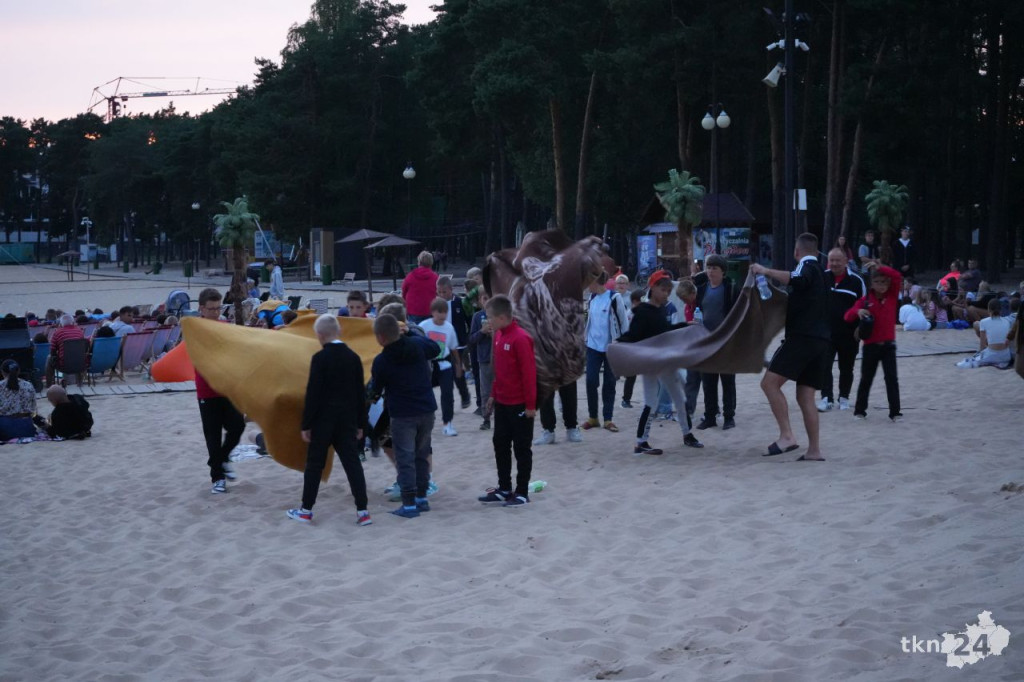 Kino plenerowe na plaży w Sielpi! Tłumy przybyły na seans filmowy [zdjęcia]