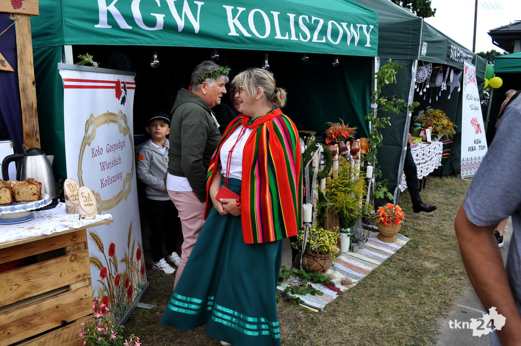 Festyn w Rudzie Malenieckiej w rytmie hitów! [wideo, zdjęcia]