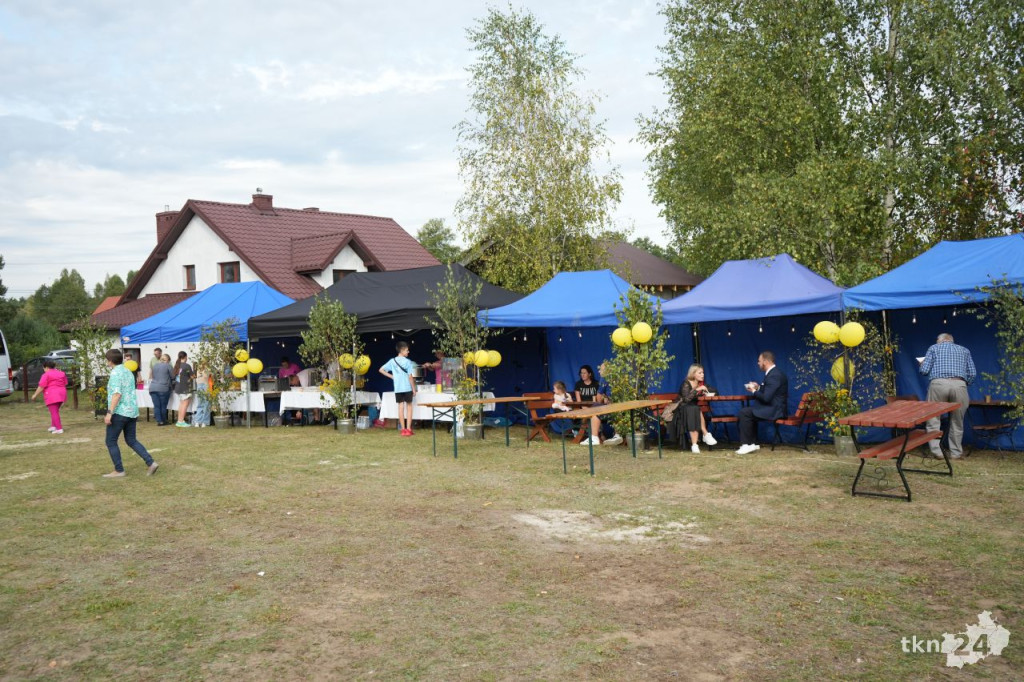 Festyn przy Hospicjum w Rudzie Białaczowskiej. Zebrano ponad 11 tysięcy złotych [wideo, zdjęcia]