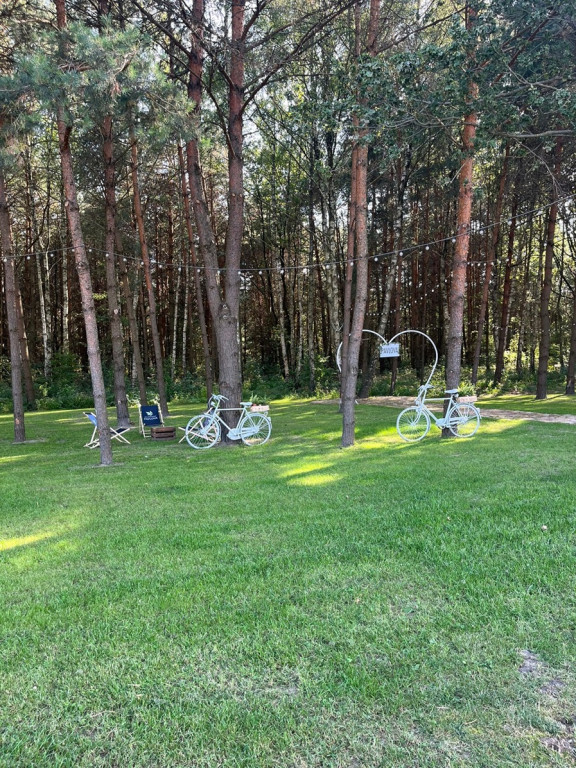 Sala Bankietowa Pavlova. Idealne miejsce na wymarzone chwile [wideo, zdjęcia]