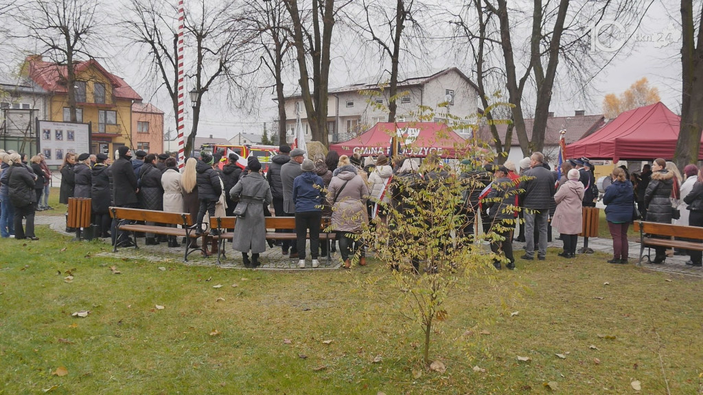 Za tych co walczyli o Wolną Polskę. Radoszyce dla Niepodległej [wideo, zdjęcia]