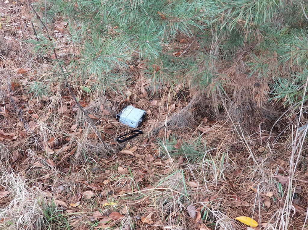 Zaśmiecone pobocze powiatówki. Czytelniczka interweniuje [zdjęcia]
