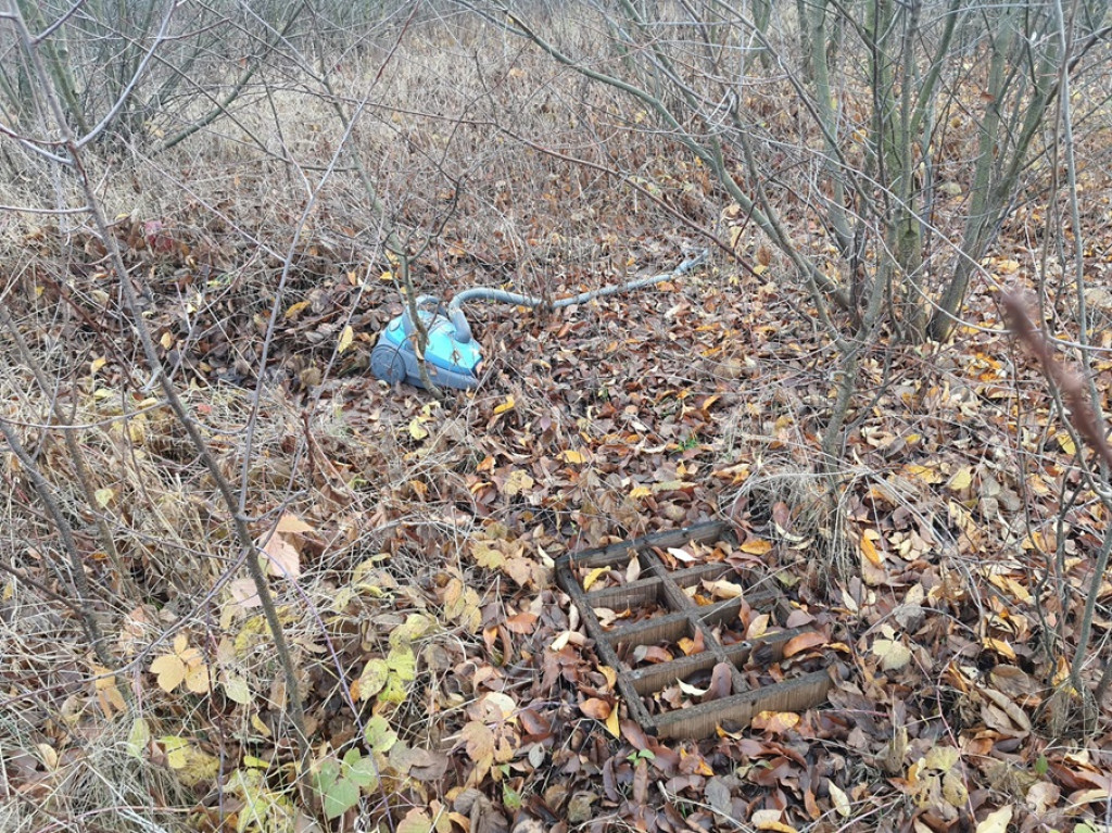 Zaśmiecone pobocze powiatówki. Czytelniczka interweniuje [zdjęcia]