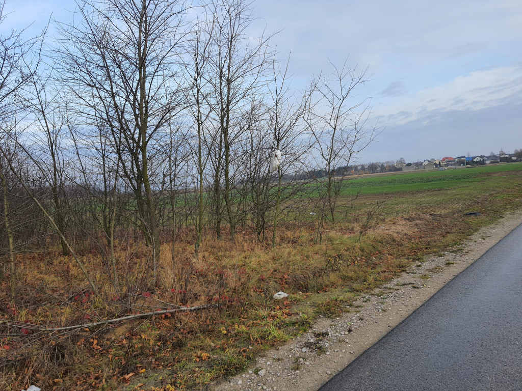 Zaśmiecone pobocze powiatówki. Czytelniczka interweniuje [zdjęcia]