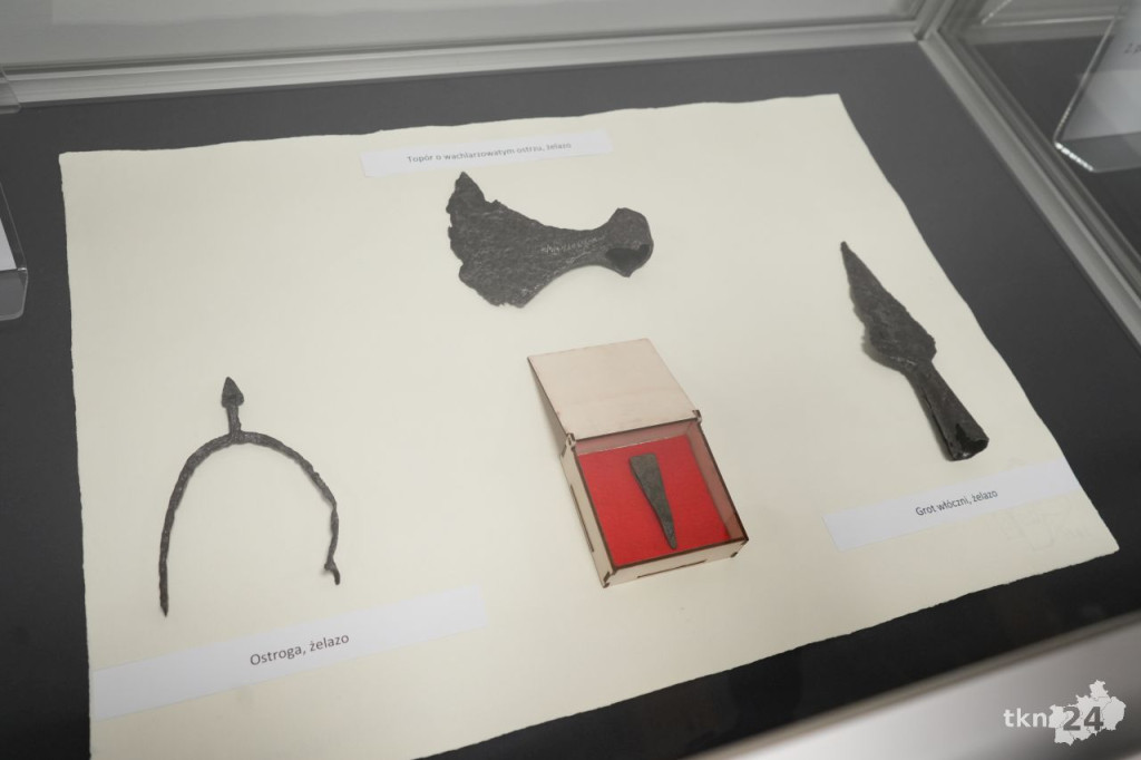 O odległej przeszłości regionu i ciekawych znaleziskach archeologicznych w Końskich [wideo, zdjęcia]