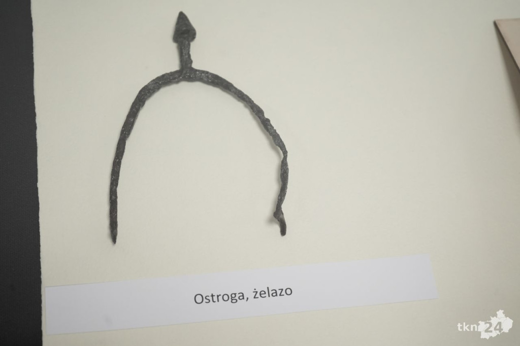 O odległej przeszłości regionu i ciekawych znaleziskach archeologicznych w Końskich [wideo, zdjęcia]