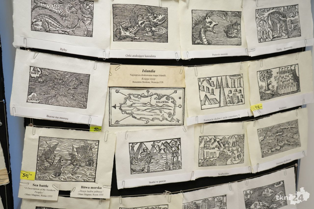 O odległej przeszłości regionu i ciekawych znaleziskach archeologicznych w Końskich [wideo, zdjęcia]