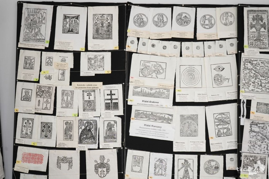 O odległej przeszłości regionu i ciekawych znaleziskach archeologicznych w Końskich [wideo, zdjęcia]