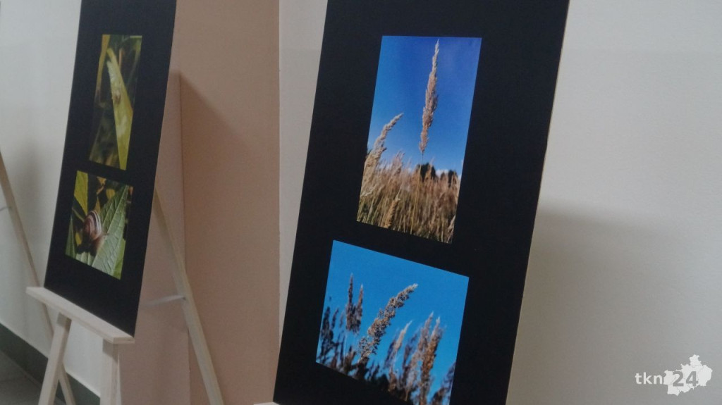 Zoom na talent. W Dziebałtowie najmłodsi uczyli się fotografii [wideo, zdjęcia]