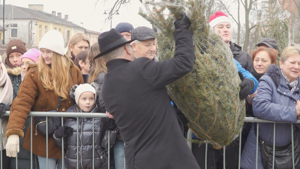 Darmowe choinki dla mieszkańców. Trwa drugi dzień jarmarku bożonarodzeniowego w Końskich [wideo, zdjęcia]