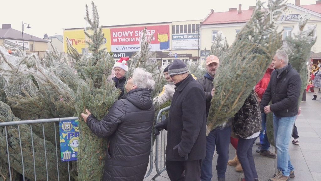 Darmowe choinki dla mieszkańców. Trwa drugi dzień jarmarku bożonarodzeniowego w Końskich [wideo, zdjęcia]