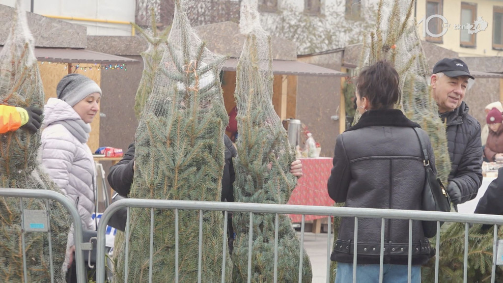 Darmowe choinki dla mieszkańców. Trwa drugi dzień jarmarku bożonarodzeniowego w Końskich [wideo, zdjęcia]