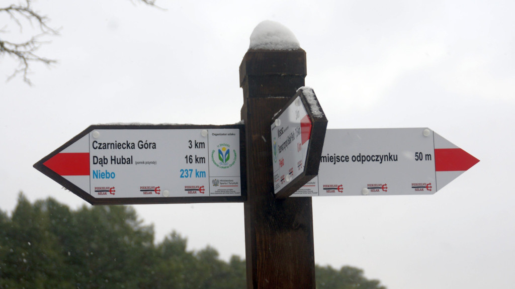 Poszukiwanie Nowego Roku. Piechurzy rozpoczęli 2026 od  specjalnego rajdu [zdjęcia]