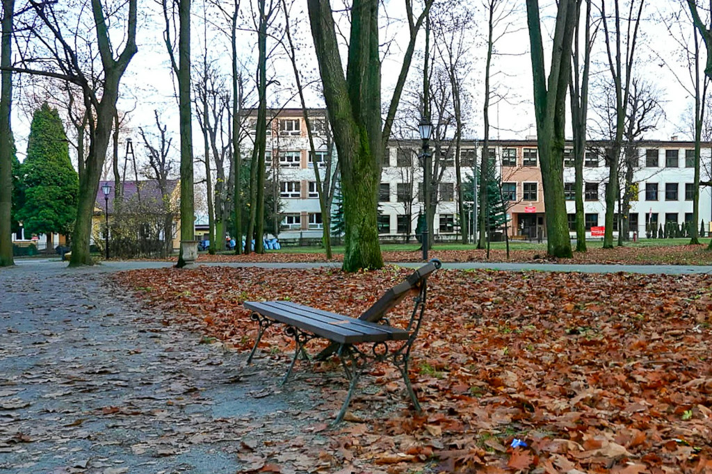 Wandalizm w parku. List do burmistrza Końskich