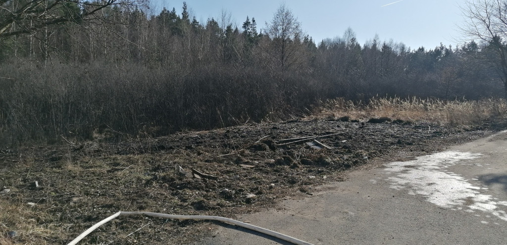 Plaga pożarów traw w powiecie koneckim