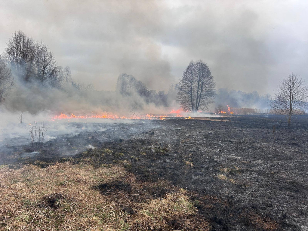 Plaga pożarów traw w powiecie koneckim