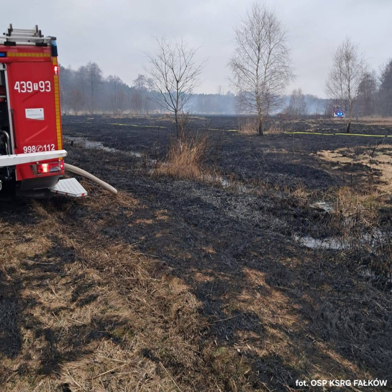 Plaga pożarów traw w powiecie koneckim