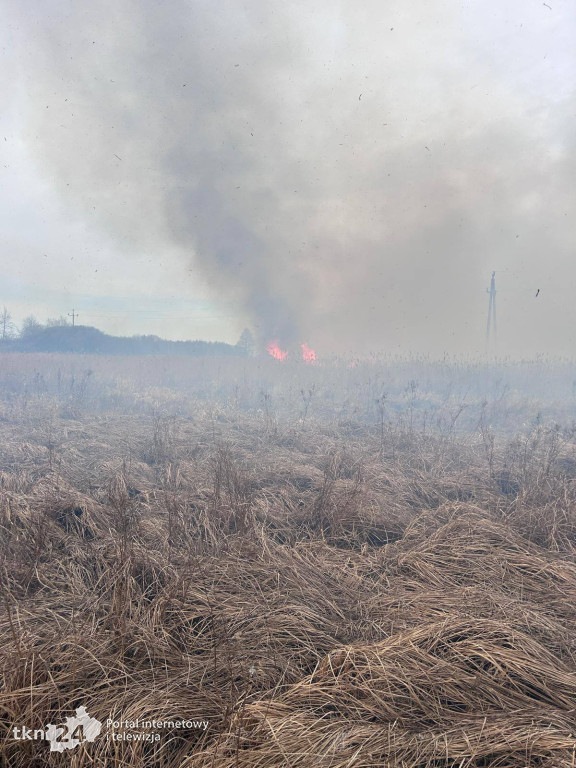 9 hektarów spłonęło w gminie Słupia Konecka.