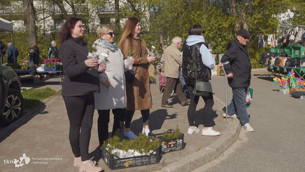 Stowarzyszenie Pomocni Świętokrzyskie rozdało sadzonki w Końskich