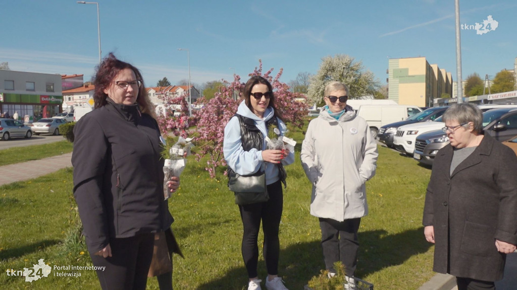Stowarzyszenie Pomocni Świętokrzyskie rozdało sadzonki w Końskich