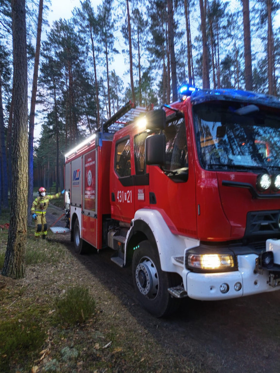Strażacy z JRG Końskie na ratunek lasom  na Lubelszczyźnie