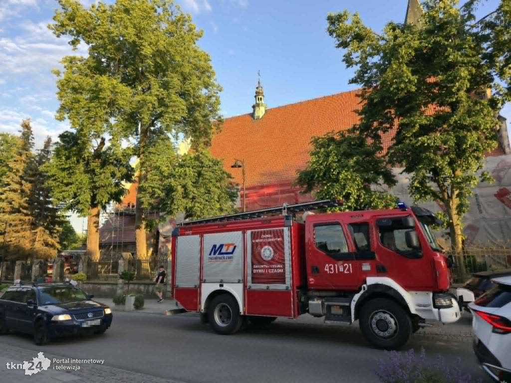 Kreatywne zwiedzanie Kolegiaty. Z rusztowania