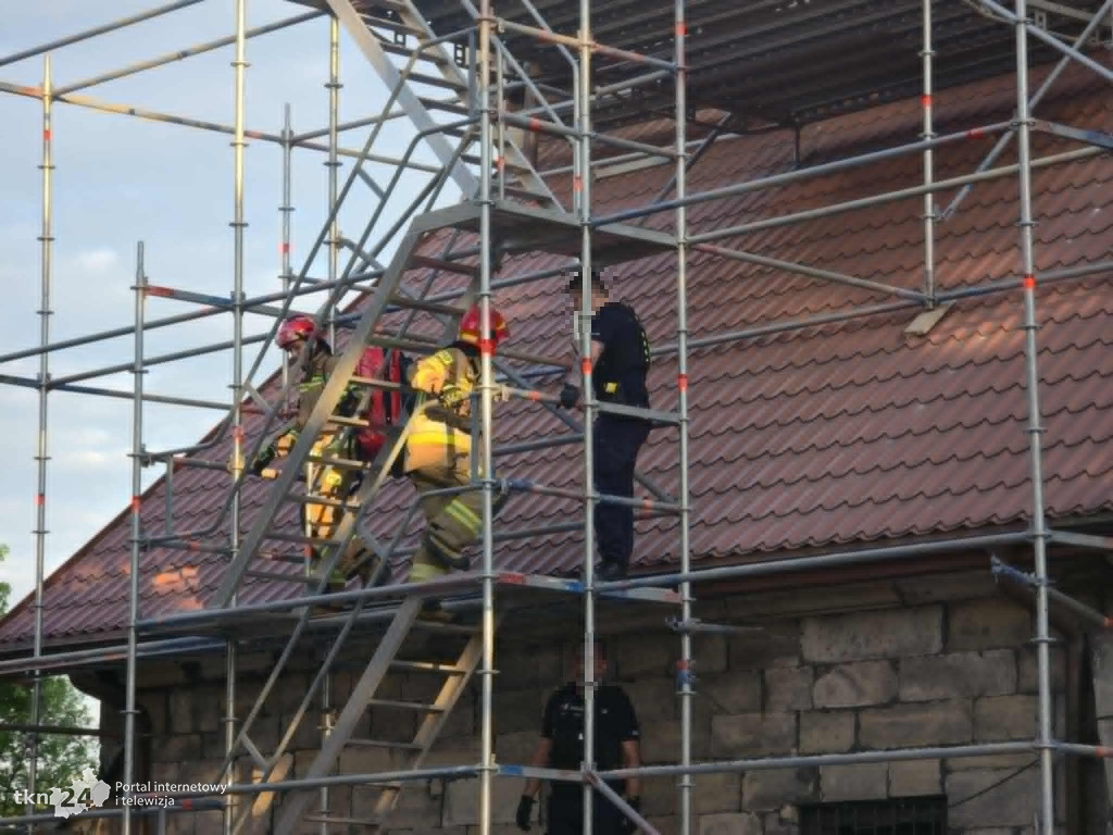 Kreatywne zwiedzanie Kolegiaty. Z rusztowania