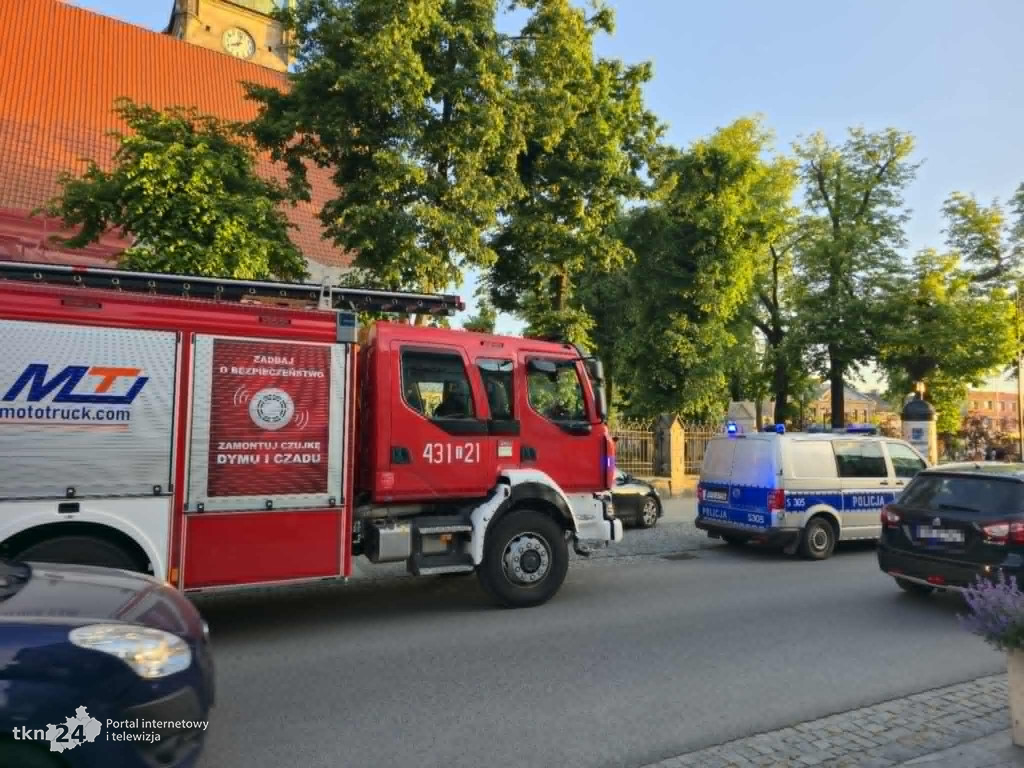 Kreatywne zwiedzanie Kolegiaty. Z rusztowania