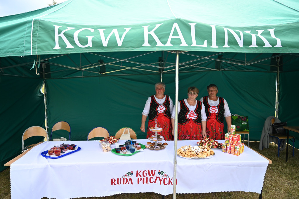 Dzień Dziecka przyciągnął tłumy do Słupi Koneckiej