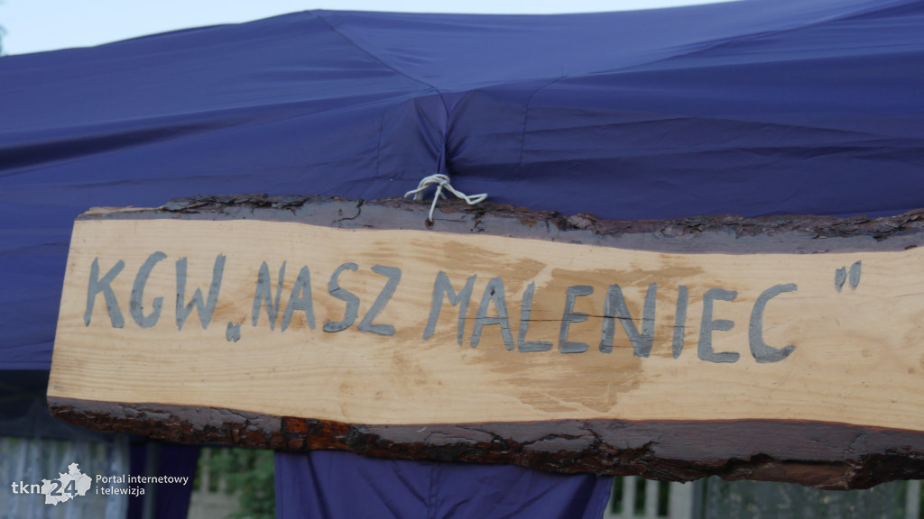 Festyn Rodzinny w Rudzie Malenieckiej z grupą TOPLES