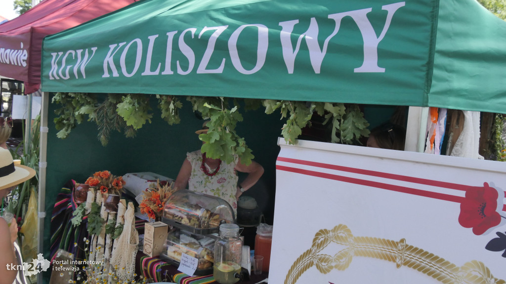 Upalny i tłumny Dzień otwarty w Świętokrzyskim Ośrodku Doradztwa Rolniczego w Modliszewicach